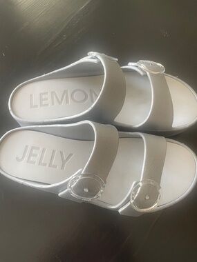 Lemon Jelly Women's Silver Double-Band Slide Sandals